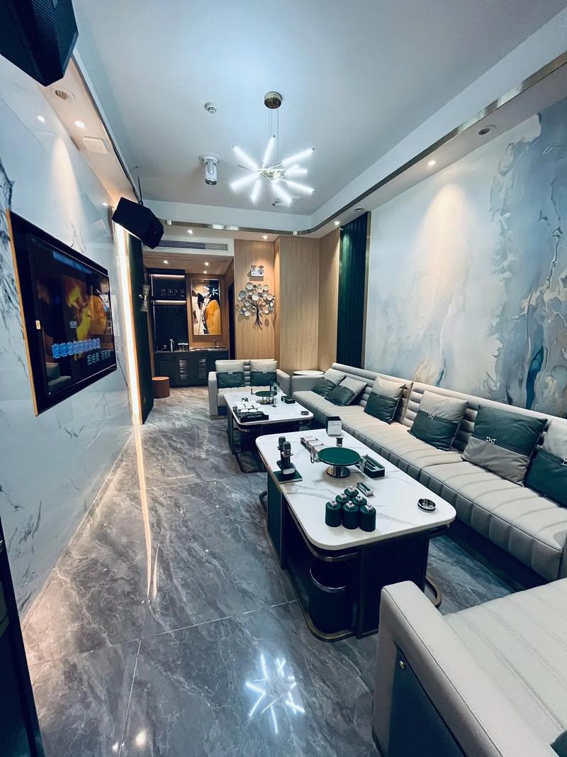 陇南商务KTV,商务休闲新选择-成县ktv预定